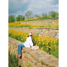 󻨽uջNݲ˹հղݻѾ^ļN_N