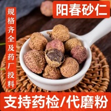 砂仁 阳春砂仁 中药材 进口砂仁 砂仁米 壳砂仁 阳春砂仁 支持药