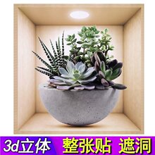 ����ʽ3d���w���N����Gֲ�����b��N�����à����N�������z�N��