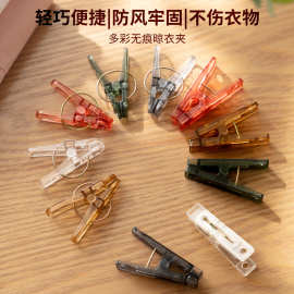 厂家直销强力防风夹晾晒夹PC晾衣夹防滑小夹子透明多用处实用夹片