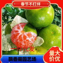 һ�����l��Ʒ�N�۽ۘ��������۽ۼ������Ә�����ش���Ϸ��Nֲ��
