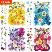 干花材料包永生花压花片押花草手工滴胶书签真花植物树叶标本