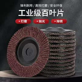 页轮、页片;磨片、切割片