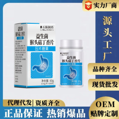 メーカースポット卸売り石阪製薬胃幽舒益生菌猿頭茸丁香サンザシ沙棘山薬直発