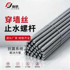 穿墙丝对拉螺杆穿墙丝杆对拉螺栓建筑用穿墙螺丝穿墙螺杆止水螺杆