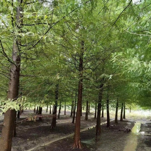 �������l ����ɼ ��� ���؃r�� �@�־G����·���^��ľ