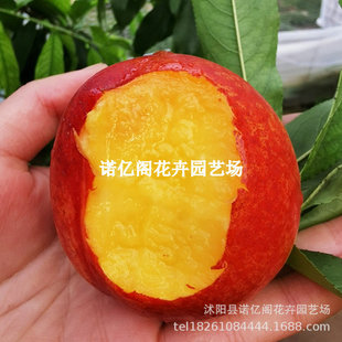 ������������Ҙ����S�����¼t������޽��ϱ����Nֲ����Y������