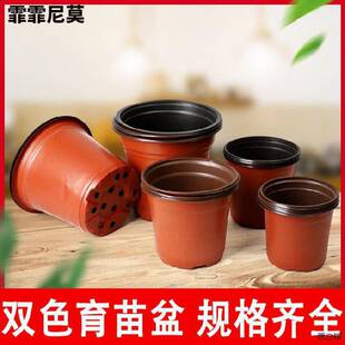 �������pɫ�������B����Nֲ���P�B���~�庆��С�籭��ˈ@�I�B��
