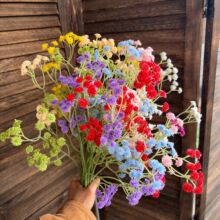 ����108�^ܛ�z�M���ǾӼҾƵ��b�c���������廨�[�O���յ���