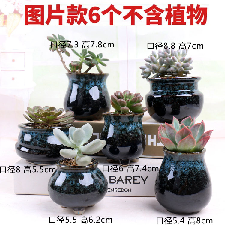 블루 성운 화분 6종 세트