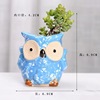 Cross -border new Japanese and Korean small animals colored thumb pot kiln transformed owl sets of succulent pot craftsmanship wholesale