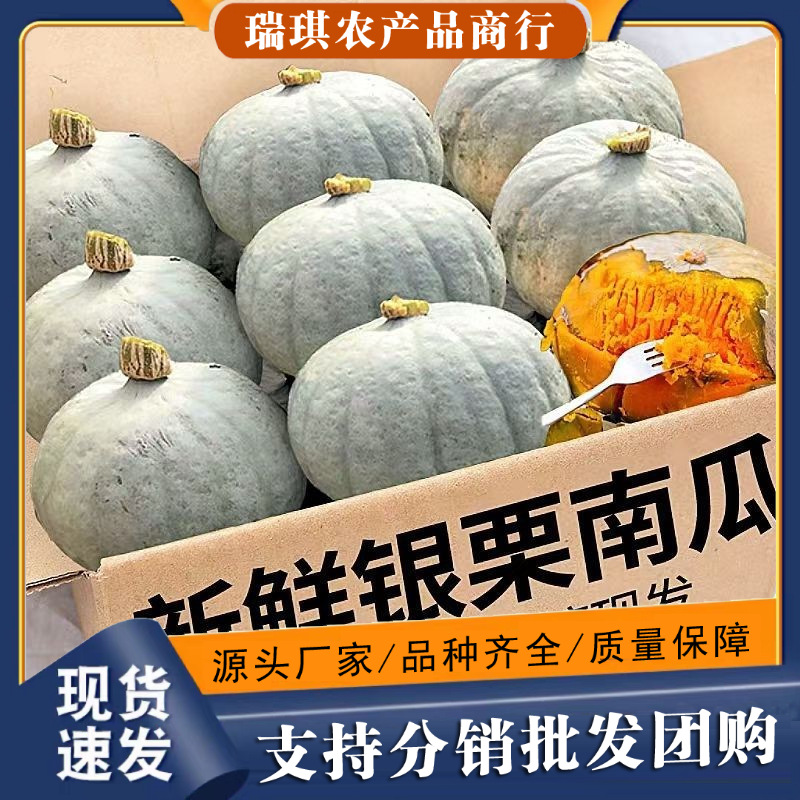 正宗银栗南瓜9斤整箱新鲜蔬菜辅食10批发包邮5粉糯新疆银皮板栗瓜