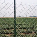 厂家直供矿山绿化山坡覆盖镀锌菱形勾花网隔离果园养殖防护网