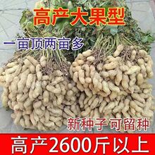 ���߮a�����N�ӡ����������·N�ӱ�Ƥ���찫�U�r��Ժ�N�����r