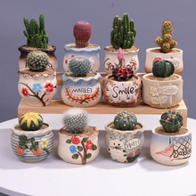 �������҃�С���Ծ�Ʒ�����ƶ���ֲ��ʮ�����k��������Gֲ