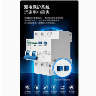 Rex 2P Leakage Protector Household 32a Air Conditioner Leakage Circuit Breaker 63a Air Switch with Leakage Protector