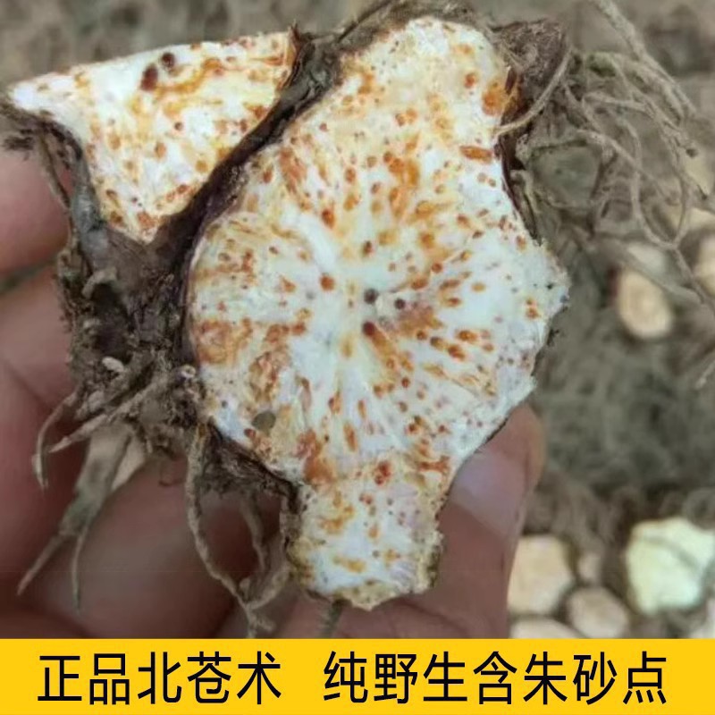 【跨境供货】新采药材种子 金线莲种子 南 北苍术丹参党参柴胡桔