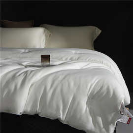 朗爽3M新雪丽高效暖绒纯棉全棉舒适绵柔可水洗加厚保暖秋冬季被子