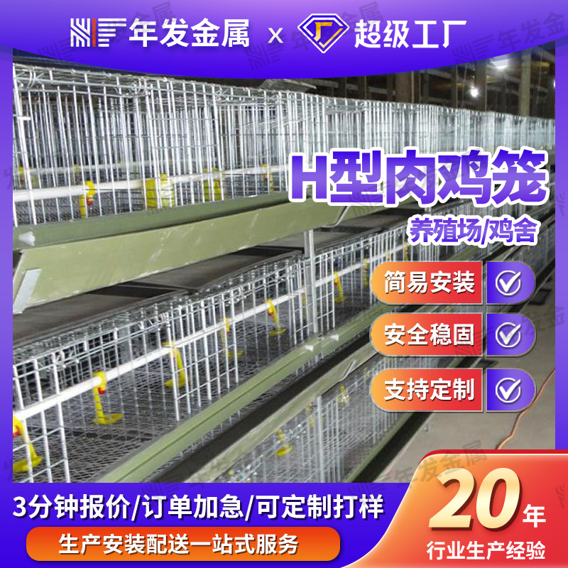 大型养殖鸡舍肉鸡笼厂家批发自动投喂养殖镀锌鸡笼阶梯式养鸡设备
