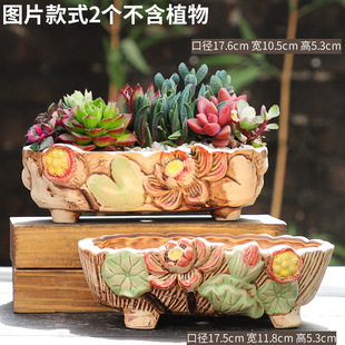 ̖⻨մɄ⺆sմڏֲƴ讋ʽ