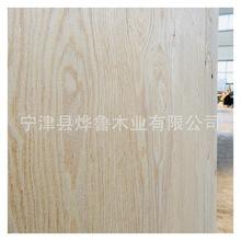 ~ɽBľӰr ľlӽBSl ɹų0407