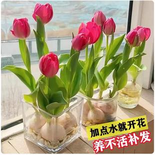 ������N��N������ˮ���ײͶ����҃��ͺ�ˮ�B������������L����