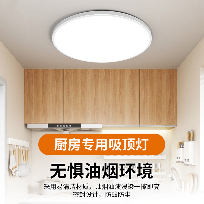 Kitchen Special Ceiling Lamp Oil-proof Smoke-proof Insect-proof Three-proof Lamp Simple Modern Toilet Bathroom Balcony Lighting Fixtures