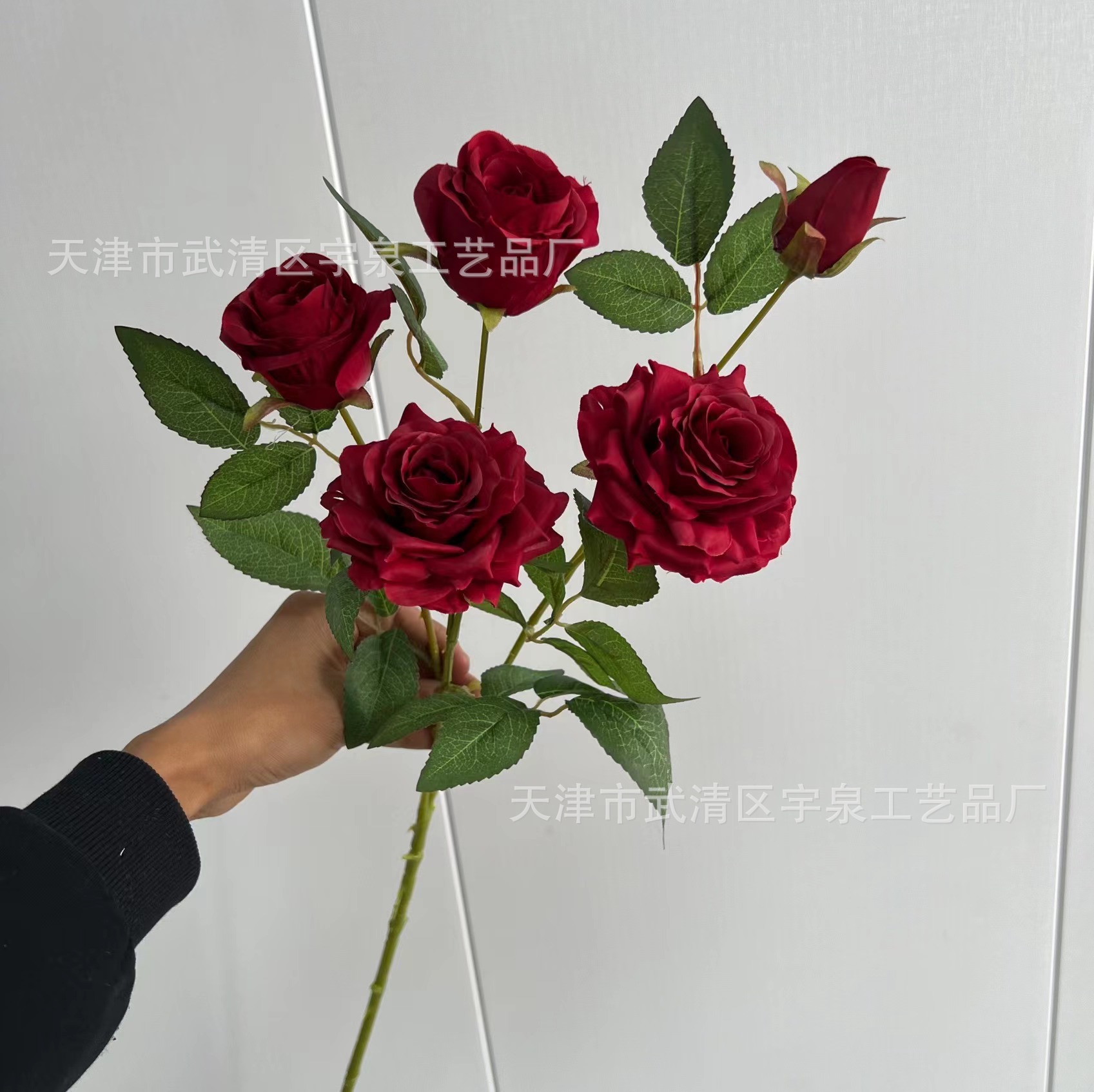 레드