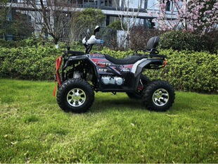 ȫ�����ě_��ԽҰĦ��܇250CC���������m�p��ɽ��ATVɳ��܇