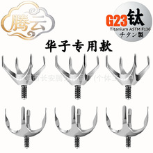 G23 ⁺Ͻ���� ��צ�荶������Q�^ ��ᔱ��üᔴ����Ʒ���