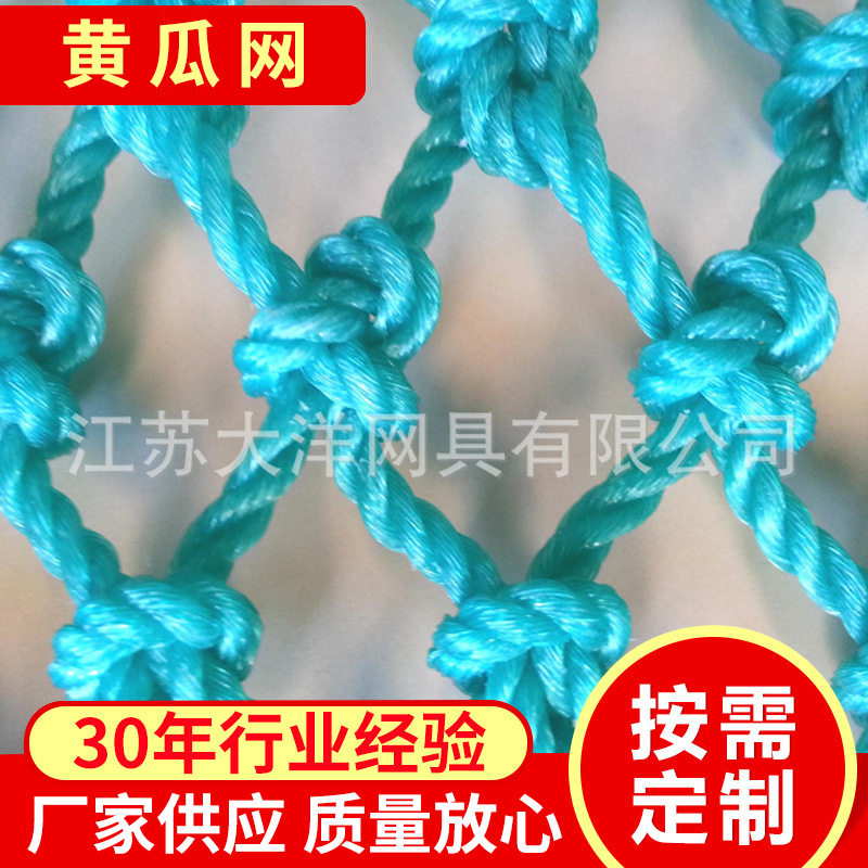 聚乙烯农业黄瓜网聚乙烯渔网大洋牌网 聚乙烯水产养殖渔网