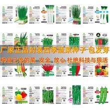 ļС[NӼt^[^NСN̨߲˷N