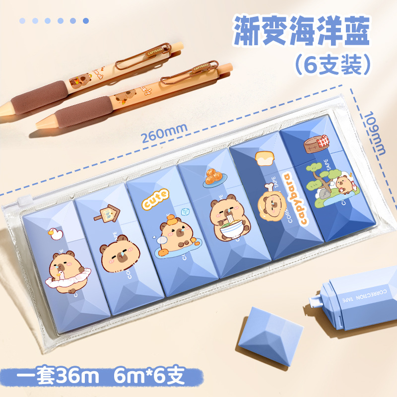 [프리미엄 카피발라 블루] 6팩에 스티커 2개 + 수납가방 1개가 포함되어 있습니다.