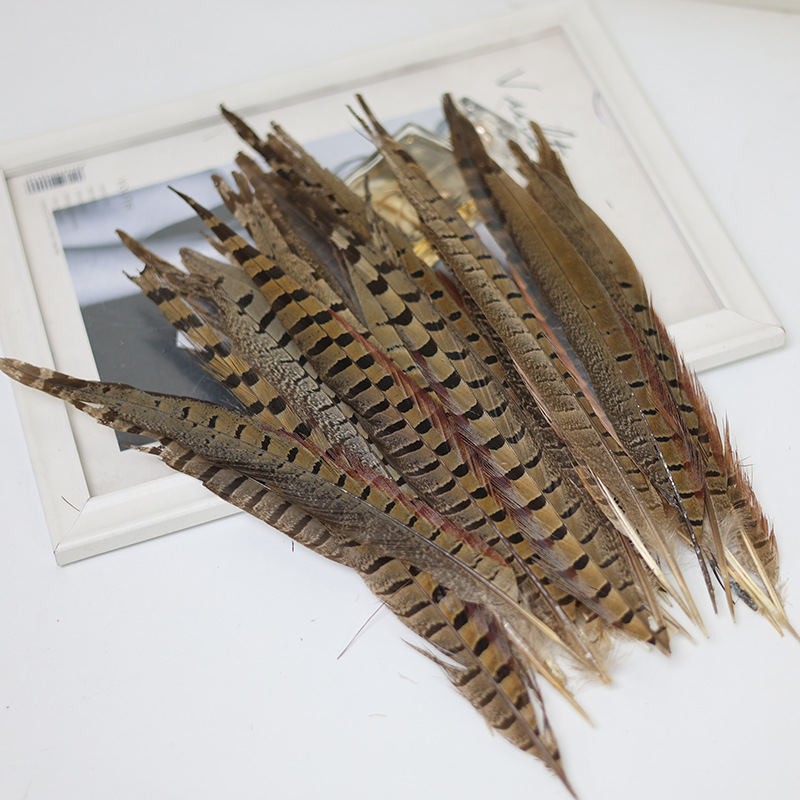 Mayorista 15 - 100cm plumas de cola de pollo de montaña, plumas de gato, plumas de gallo de montaña, plumas de gallo de Beijing, plumas de gallo salvaje