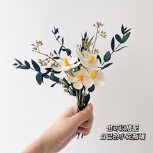 ɻС͏d[O滨LȻ_mȼ~bƷ[