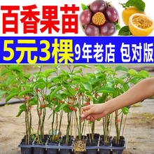 ������� �ļ�����Y�� �J��9̖�޽��� �����S����������������