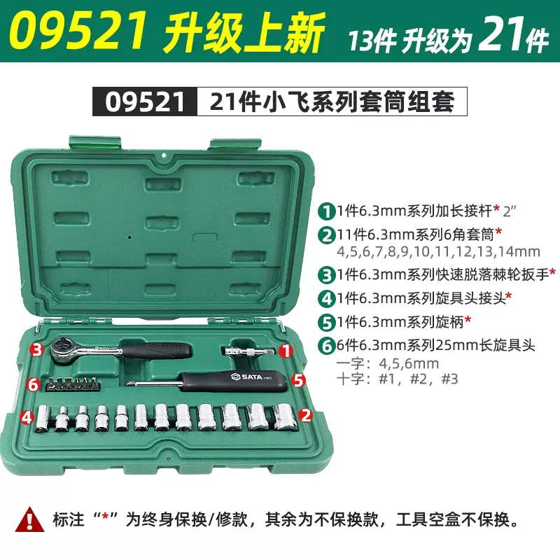 09521 21 작은 파리