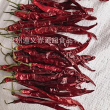 ���x�r��悶��G�l������ �������l �u�˻�偼t�͌�������
