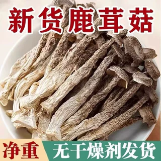 当季新货鹿茸菇鹿茸菇干货批货鹿茸菇10斤装鹿茸菇干货批发商用