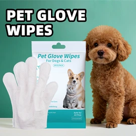 猫猫清洁;口腔清洁;狗狗清洁