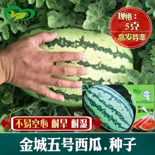 ��̖���ϷN�� �r��ˈ@���ز�E�A���������ڑНh5̖���ϷN��