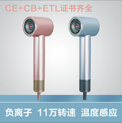 家庭用高速ドライヤー冷熱風誘導マイナスイオン大電力低温速乾家庭用電気ブロー筒対外貿易
