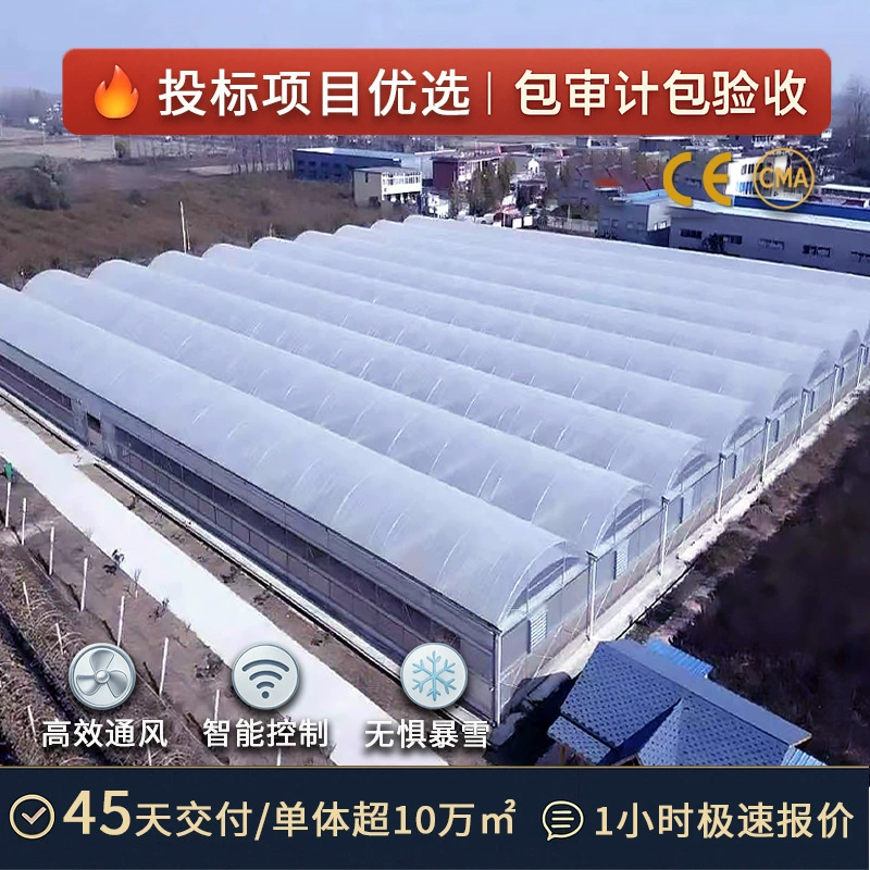 Сельскохозяйственная теплица для фруктов и овощей с каркасом из стальных труб, простая теплица для выращивания овощей, пленочная теплица, многопролетная теплица.