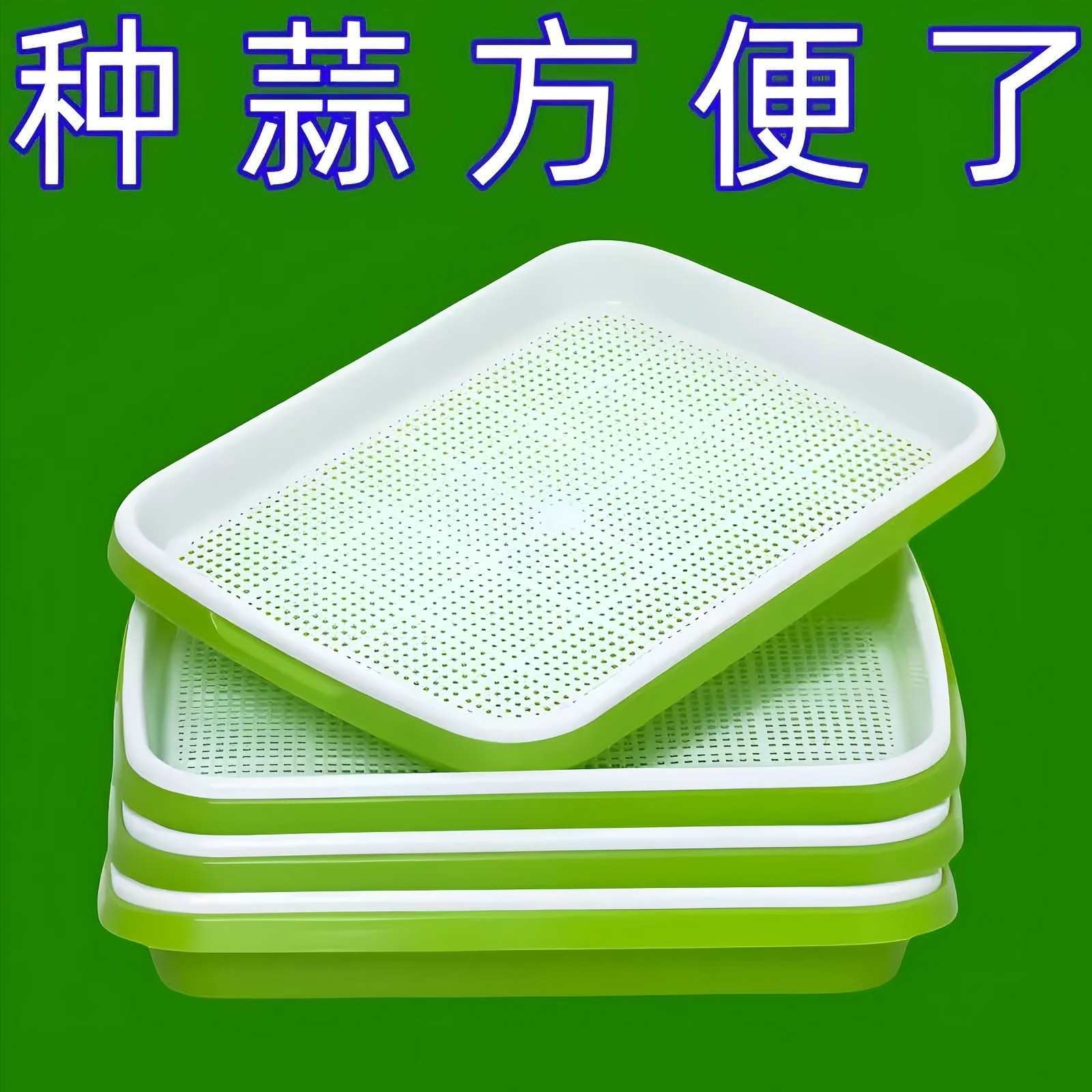 水培蒜苗蒜苗盘种蒜育苗盘种菜盆【能种蒜苗能种芽苗菜】