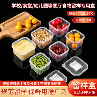 Kindergarten Canteen School Food Classification Crisper Hotel Restaurant Restaurant Special Sample Box Plastic Small Box