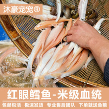 ��������t���L�~��ˮ�~��ˮ�~���B�ͻ��~��ؔ���������[?�^�p�~