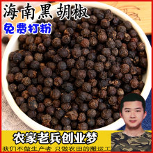 黑胡椒粒500g 批发调味品 海南足干黑胡椒 牛排酱料香辛料胡椒粉