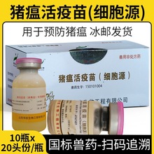 华宏猪瘟活疫苗猪瘟细胞苗猪疫苗猪瘟细胞源兽用兽药猪药猪用疫苗