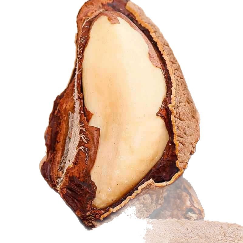 鲍鱼果500g巴西坚果进口原味补富硒孕妇包沙漠果非新疆特产旗舰店|undefined