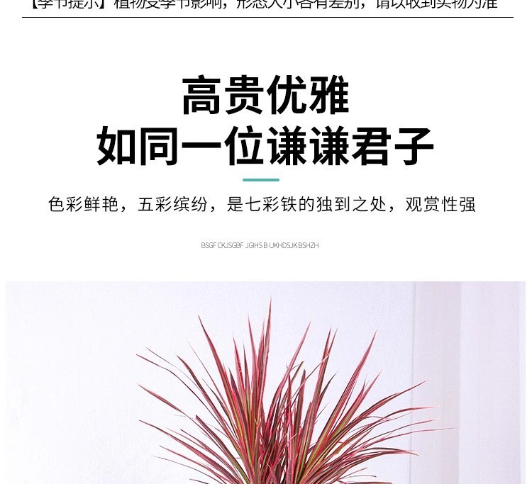 b5df395e-103a-46ac-abe8-3a0f8943b2de.jpe